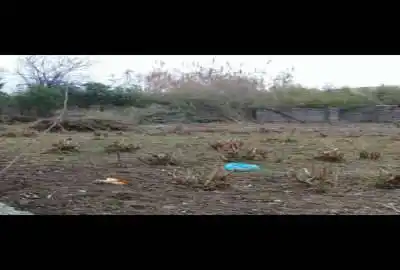 زمین محصور شده در بافت با سند تک برگ ۵۸۵ متر
