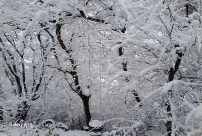 خونه باغ ساری گرمستان ۵۰۰ متر زمین