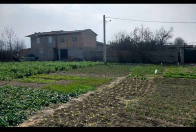 فروش زمین مسکونی کردکوی روستای چهارده ۳۱۵ متر