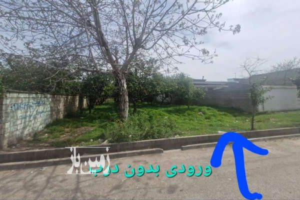 فروش زمین مازندران قائم شهر روستای پرچیکلا ۱۱۶۰ متر-1