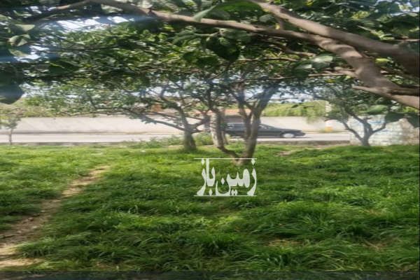 فروش زمین مازندران قائم شهر روستای پرچیکلا ۱۱۶۰ متر-2