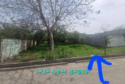 فروش زمین مازندران قائم شهر روستای پرچیکلا ۱۱۶۰ متر