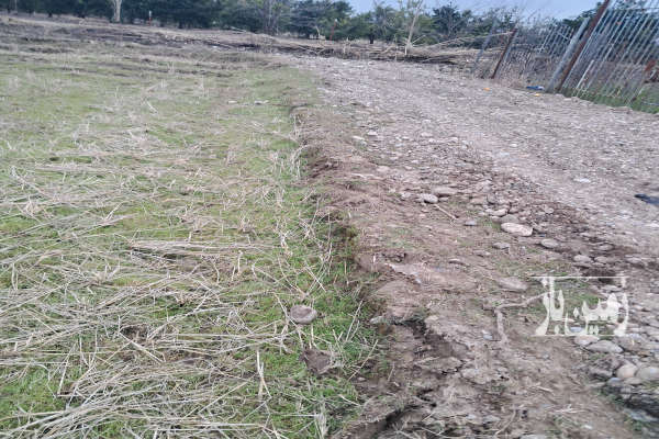 باغ مرکبات از نوع پج دور فنس آبیاری قطره ای ۲۰۰۰ متر-2
