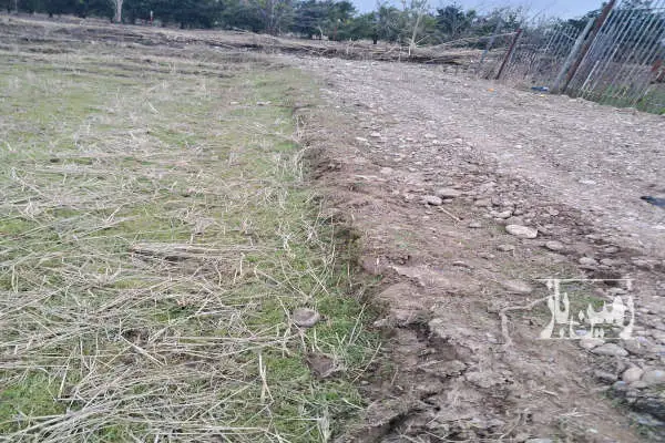 باغ مرکبات از نوع پج دور فنس آبیاری قطره ای ۲۰۰۰ متر - تصویر 2