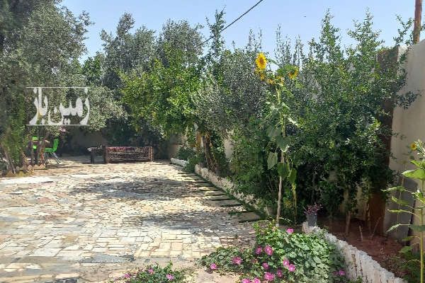 زمین سند تک برگ شش دانگ ۳۵۰ متر-1