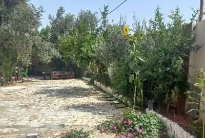 زمین سند تک برگ شش دانگ ۳۵۰ متر