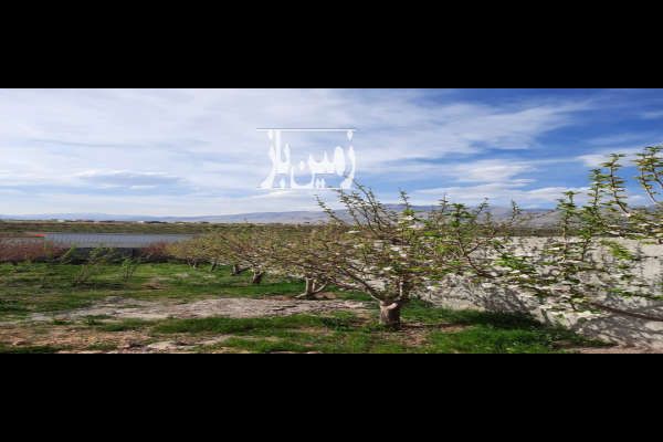 فروش باغ شهرکی و استخردار ۸۰۰ متر واقع در روستای زان دماوند-1