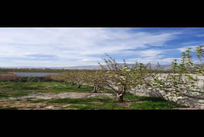 فروش باغ شهرکی و استخردار ۸۰۰ متر واقع در روستای زان دماوند