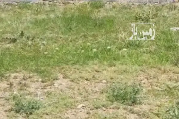 زمین کشاورزی مخصوص باغ ویلا در روستای چغادون ۳۸۰۰ متر - تصویر 2