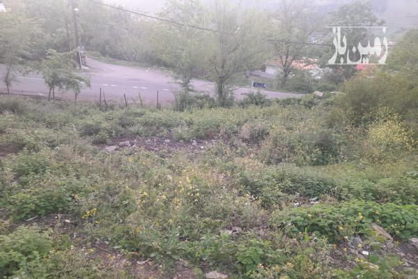 زمین در بافت مسکونی رودبار توتکابن روستای چره ۶۰۰ متر-2