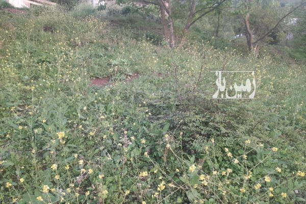 زمین در بافت مسکونی رودبار توتکابن روستای چره ۶۰۰ متر-3