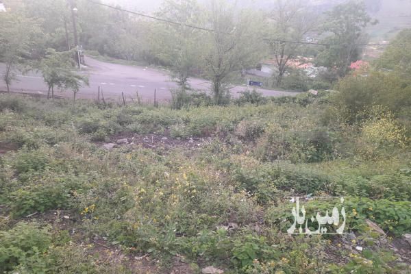 زمین در بافت مسکونی رودبار توتکابن روستای چره ۶۰۰ متر-4