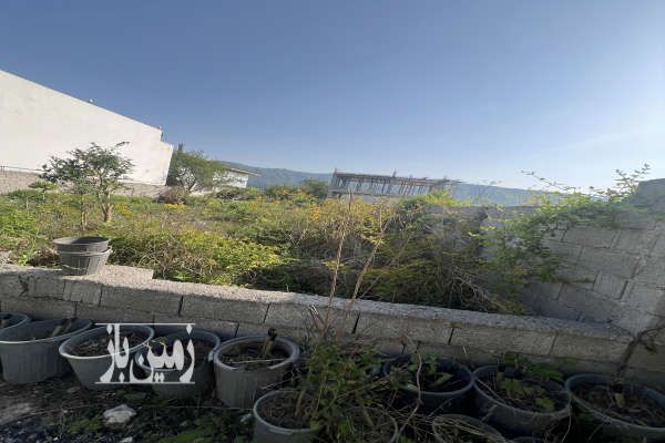 زمین در تنکابن جاده نعمت آباد بهکله ۲۴۰ متر-1