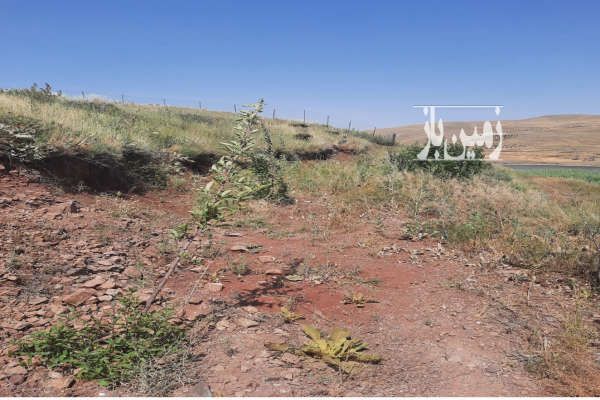 زمین روستای زرشک نزدیک دریاچه دریابک ۱۳۰۰ متر-3