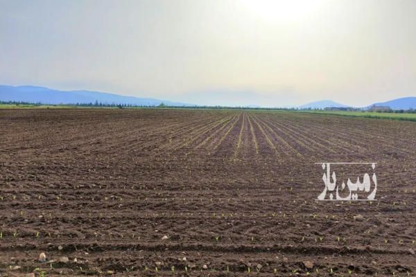 فروش زمین ۱۰۶۰۰۰ متر منطقه دشتابی روستای مندرآباد-2