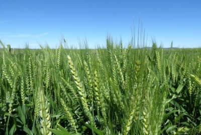 فروش زمین ۱۰۶۰۰۰ متر منطقه دشتابی روستای مندرآباد