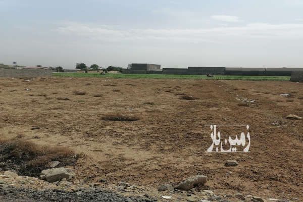 زمین ۶۰۰متری فلکه دوم زعفرانیه کوچه شقایق-1