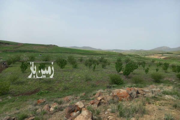 باغ کشاورزی در دریابک قزوین ۳۰۰۰ متر-1