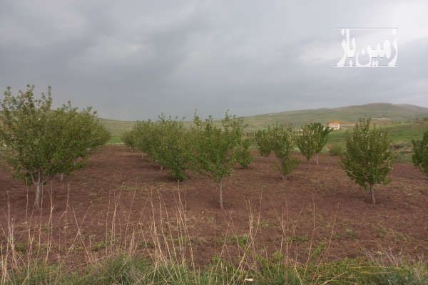 باغ کشاورزی در دریابک قزوین ۳۰۰۰ متر-2