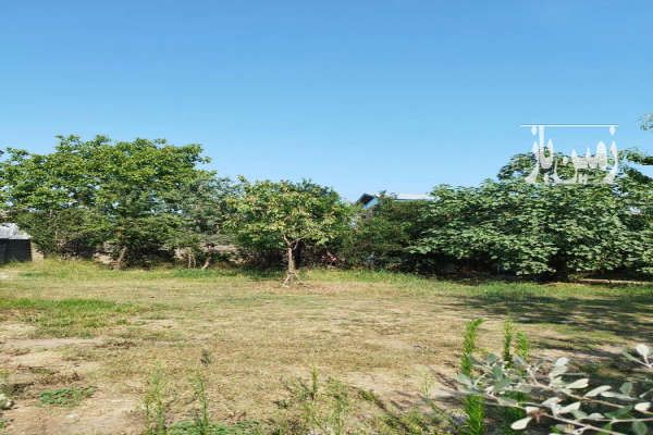 فروش زمین مسکونی ۶۱۳ متر حویق روستای نصرت اباد-2