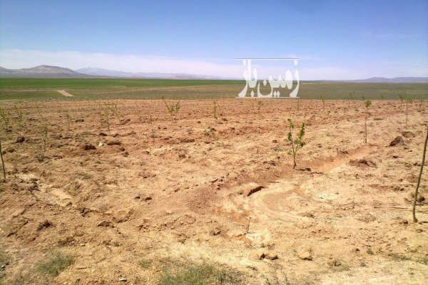 زمین بزرگ مسطح مناسب برای هر پروژه کشاورزی پنل خورشیدی-3