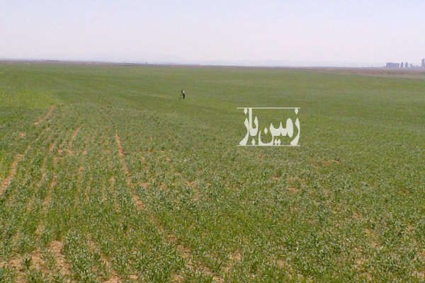 زمین بزرگ مسطح مناسب برای هر پروژه کشاورزی پنل خورشیدی-4
