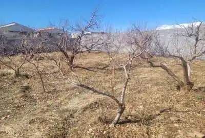 زمین جابان سند قطعی ۵۳۰ متر
