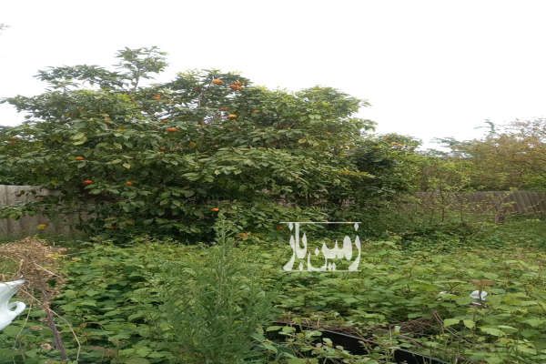 باغ ویلای قدیمی قابل سکونت ۶۰۸ متر گیلان لنگرد-2