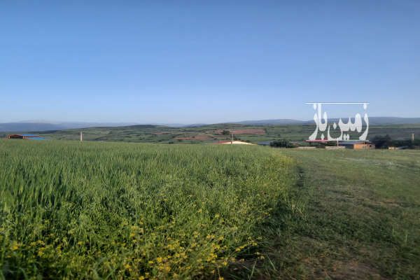 زمین کشاورزی سیاهکل دیلمان روستای میکال ۱۵۱۷۲ متر-3