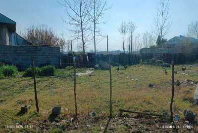 زمین با کاربری مسکونی در روستای چک شفیع محله لشت نشا