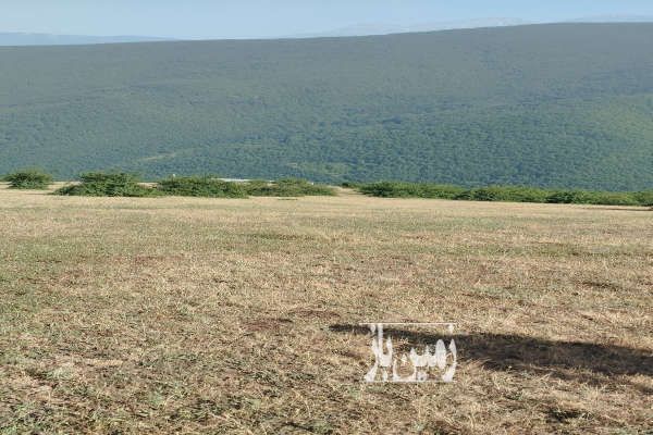 فروش زمین در مرزن آباد ۳۳۷۹ متر روستای شهرستان بامشی پشته-4