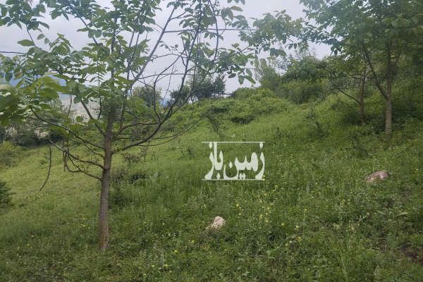 فروش زمین کلی وجزیی در رحمت اباد روستای چره ۸۲۰۰ متر-3