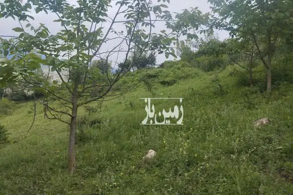فروش زمین کلی وجزیی در رحمت اباد روستای چره ۸۲۰۰ متر - تصویر 3