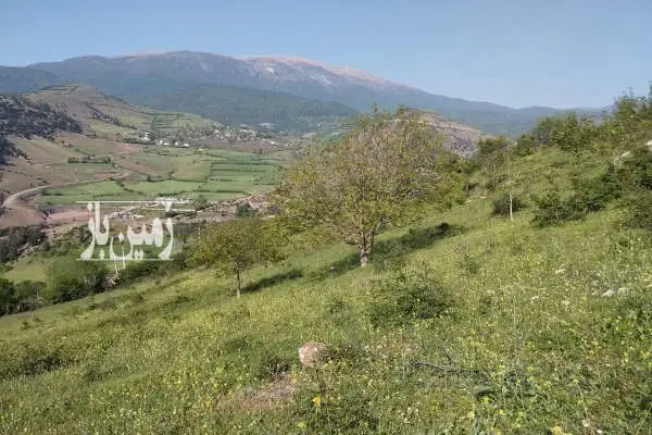 فروش زمین کلی وجزیی در رحمت اباد روستای چره ۸۲۰۰ متر - تصویر 4