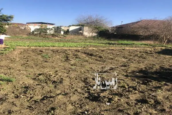 زمین٩۵٠ متری در بابل روستای ورمتون - تصویر 2