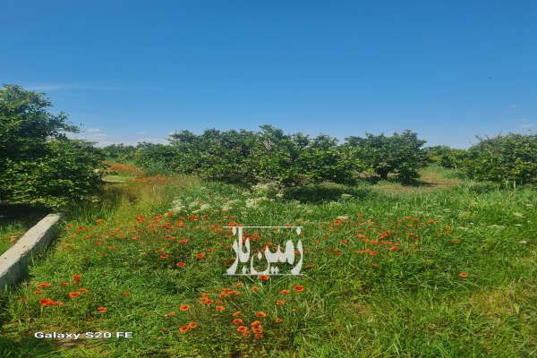 جاده دریا ساری داخل بافت مسکونی ۲۰۰ متر-1