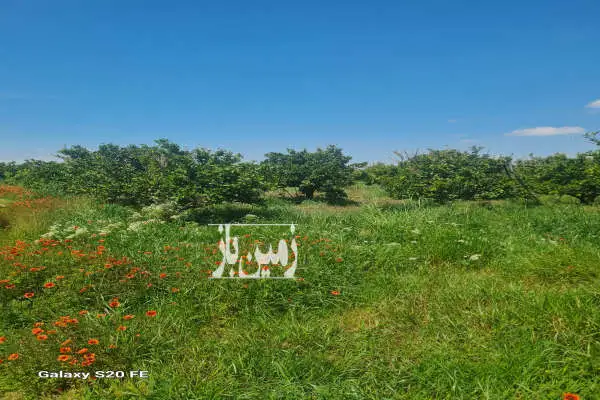 جاده دریا ساری داخل بافت مسکونی ۲۰۰ متر - تصویر 2