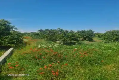 جاده دریا ساری داخل بافت مسکونی ۲۰۰ متر
