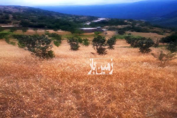 فروش زمین باغی در روستای کوهستانی و توریستی رضی ۱۵۰۰ متر-1