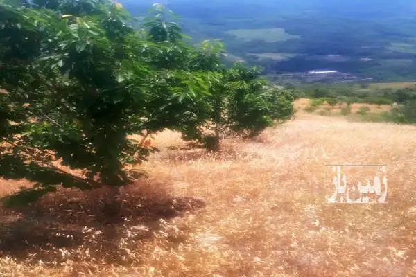 فروش زمین باغی در روستای کوهستانی و توریستی رضی ۱۵۰۰ متر - تصویر 2