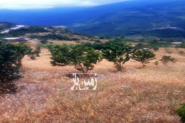 فروش زمین باغی در روستای کوهستانی و توریستی رضی ۱۵۰۰ متر-3