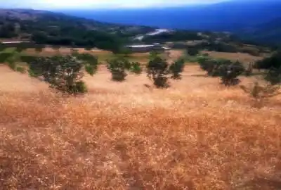 فروش زمین باغی در روستای کوهستانی و توریستی رضی ۱۵۰۰ متر