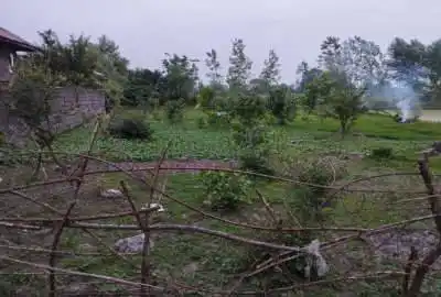 زمین ۱۳۵۲ متر لاله دشت به سمت خشکبیجار روستای کالمرز