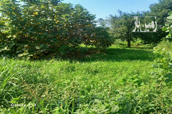 زمین مسکونی برای ساخت ساز ۶۵۰ متر-1