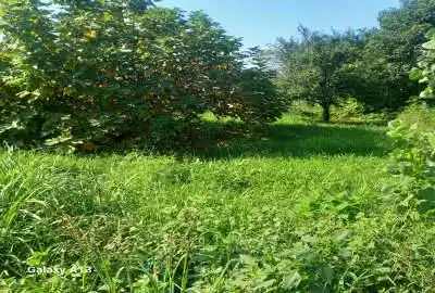 زمین مسکونی برای ساخت ساز ۶۵۰ متر