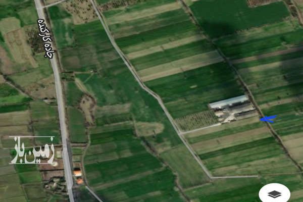 زمین کشاورزی ۵۰۰۰ متری در بندرگز-1