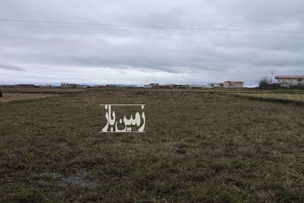 زمین باغی ۲۴۰ مترش مستثنیات-2