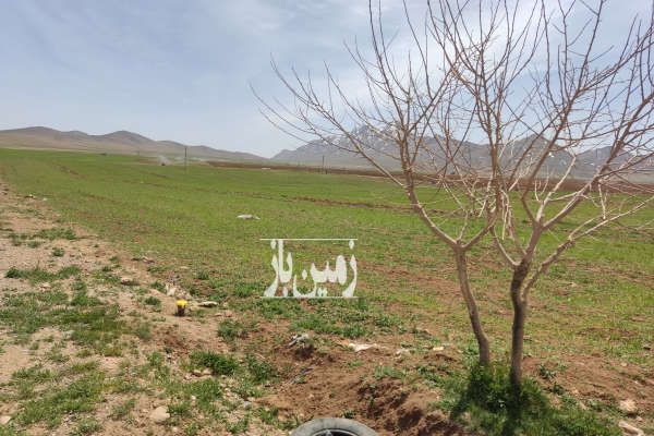 فروش زمین کشاورزی شهرکرد روستای شیخ شبان ۱۶۶۶۶ متر-1