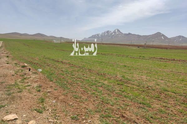 فروش زمین کشاورزی شهرکرد روستای شیخ شبان ۱۶۶۶۶ متر-3