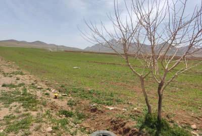 فروش زمین کشاورزی شهرکرد روستای شیخ شبان ۱۶۶۶۶ متر